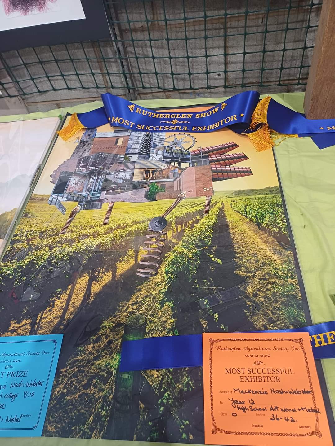 Highschool Art & VCD | Entry Form | 2025 Rutherglen Agricultural Show ...