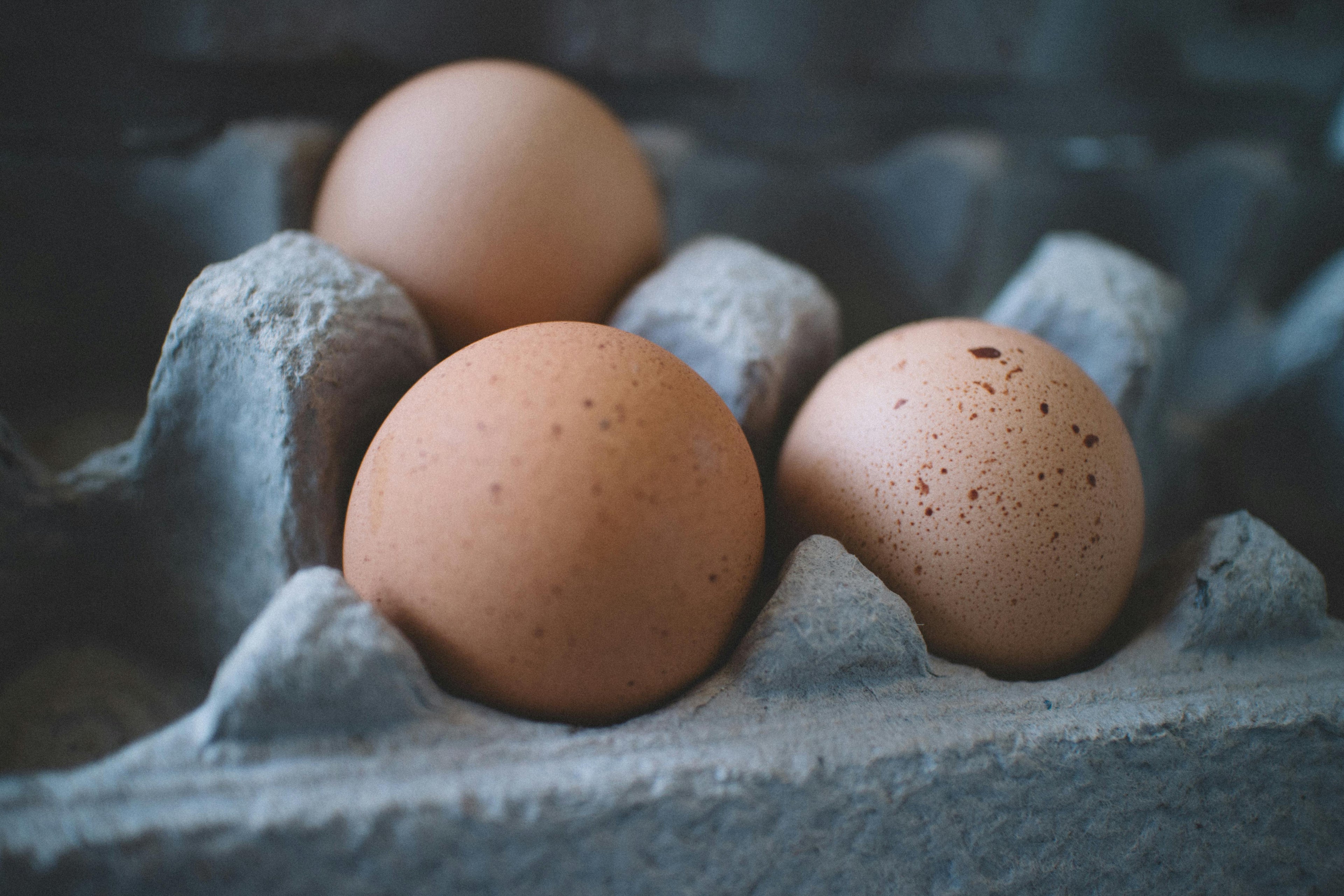 Poultry & Eggs - Eggs